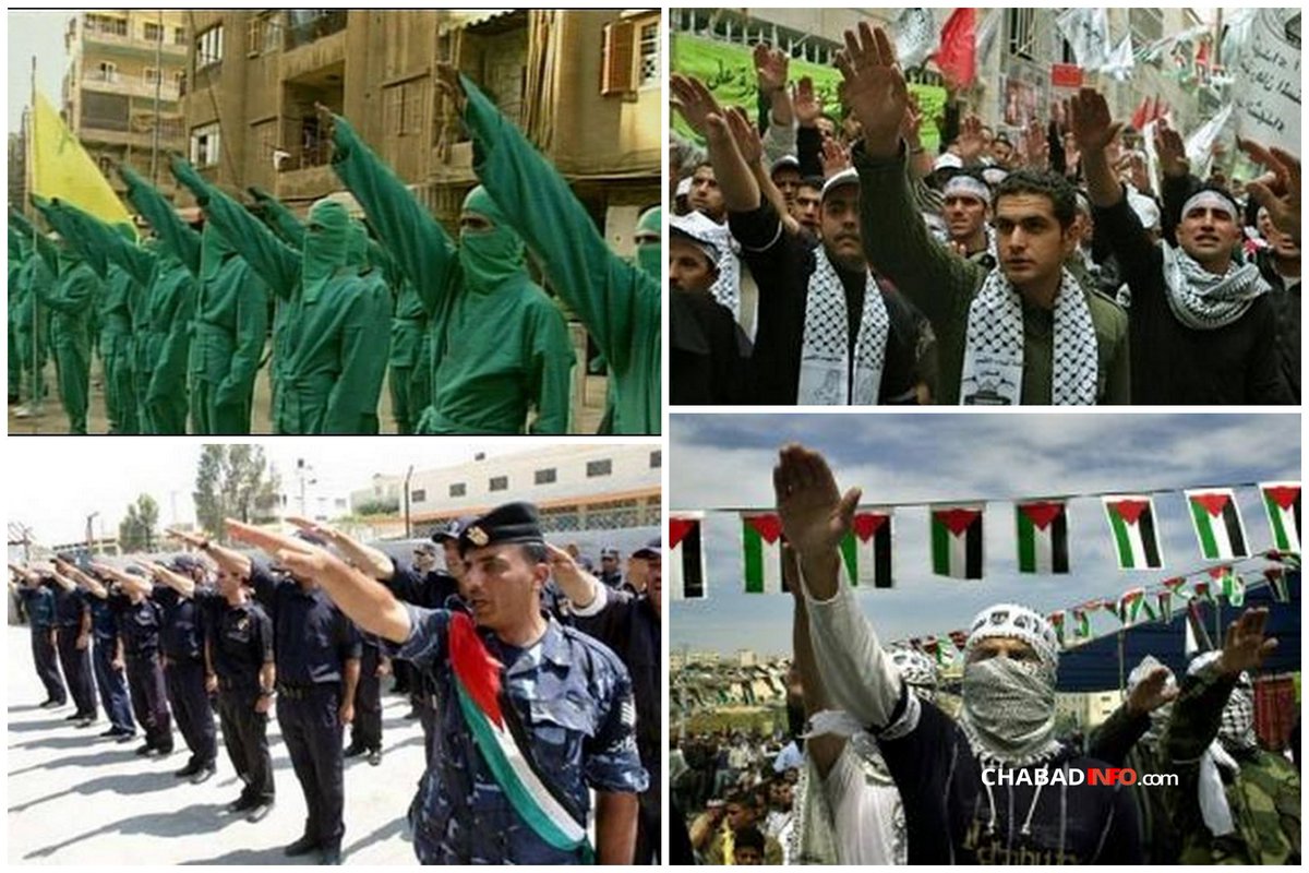 Agustí Soler i Regàs tweet media