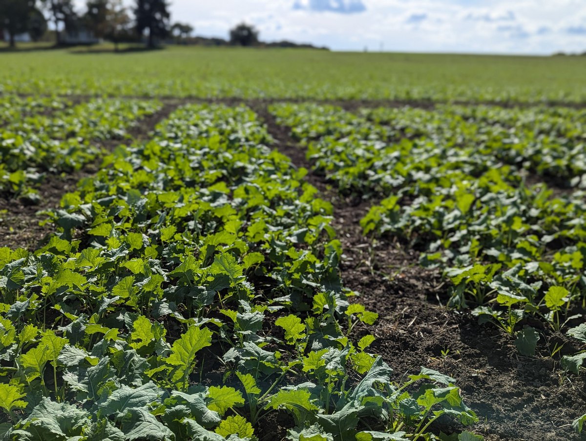 Ellen Sparry tweet media