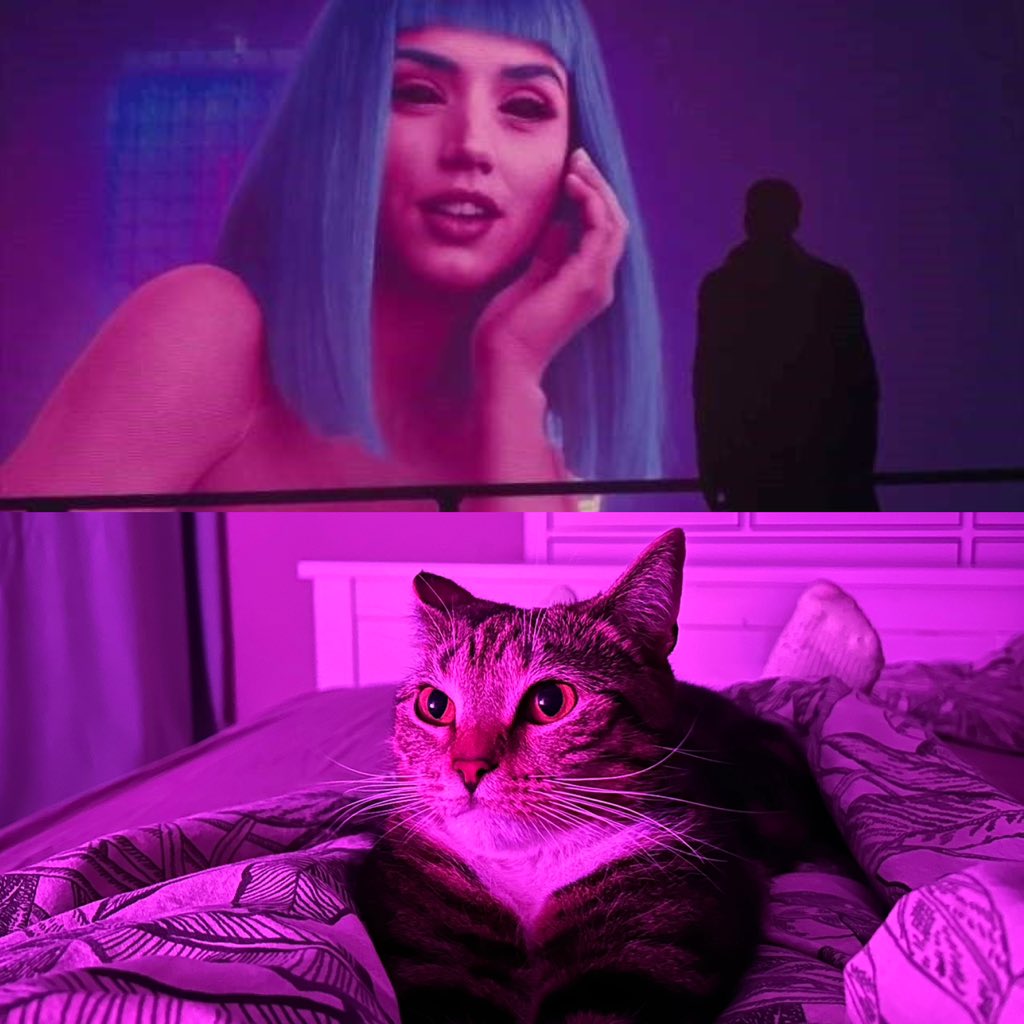 ну и денек, да?