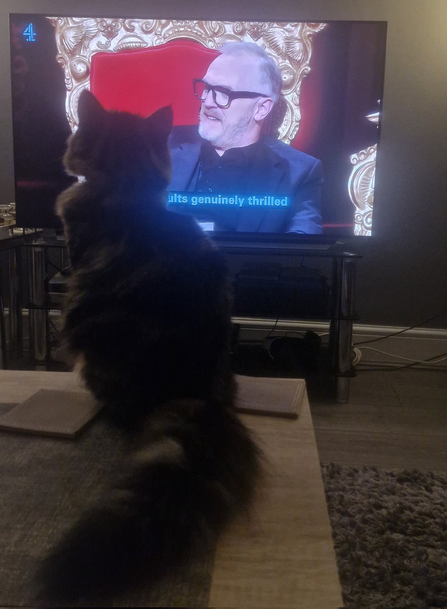 AshiBash's tweet photo. It's that time of the week again! And today Kiyara's watching @taskmaster with us 😺 #TaskMaster https://t.co/zQEpeRqe00