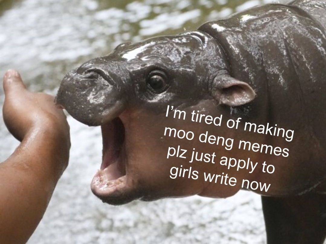 girlswritenow's tweet image. 4 days left to apply for a Fall 2024 Learning Journey! Don't miss out on making an amazing connection in a mentoring pair and exploring your passions! Moo deng would be sad.
Apply: buff.ly/3BfDZII 
.
#writing #mentor #writingprogram #highschool #college #volunteer