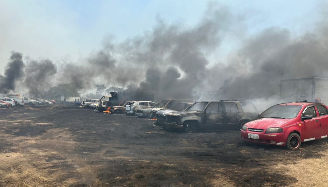 FiscaliaEcuador's tweet photo. #ATENCIÓN | #Guayas: #FiscalíaEc inició –de oficio– una investigación previa por el incendio registrado hoy en #ParqueSamanes, en el norte de #Guayaquil. Personal de la Institución, @PoliciaEcuador y @BomberosGYE practican diligencias en el lugar. https://t.co/GS0K0F2ktq