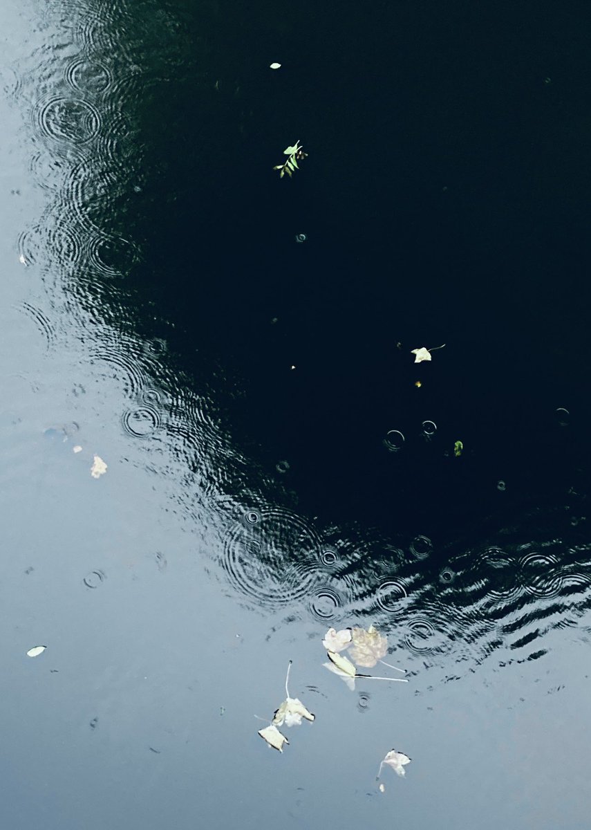 The river, flowing towards autumn.