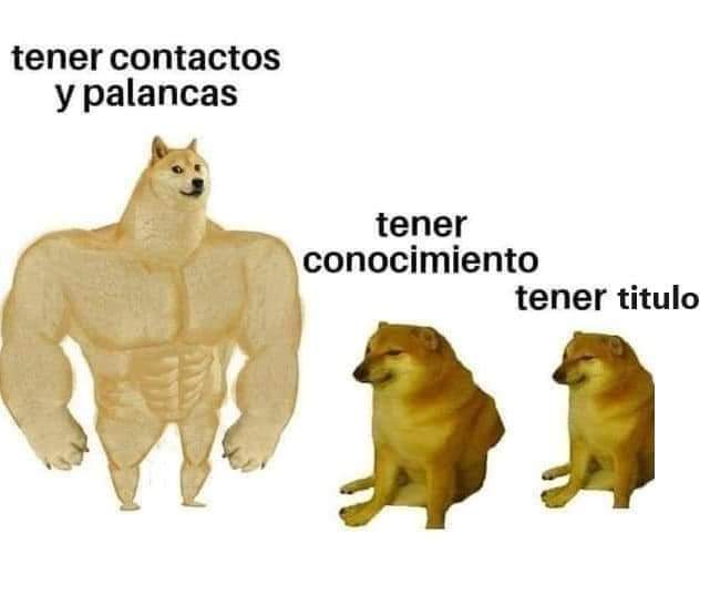 nacional_memes's tweet photo. https://t.co/NMme6Zhtb4