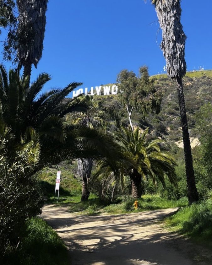 LOVELEIGHT0N's tweet photo. trying to get to the sign today 🥾☀️ https://t.co/GD8MshRira