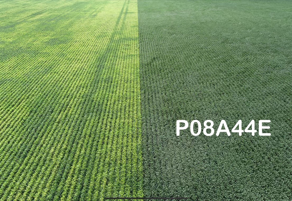 jesse moch tweet media