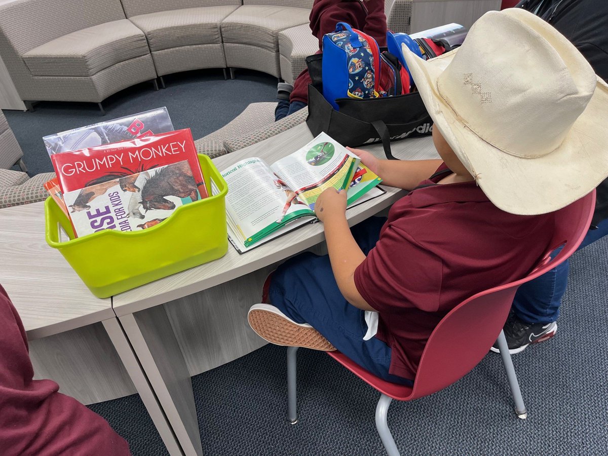 Roy Cisneros Library tweet media