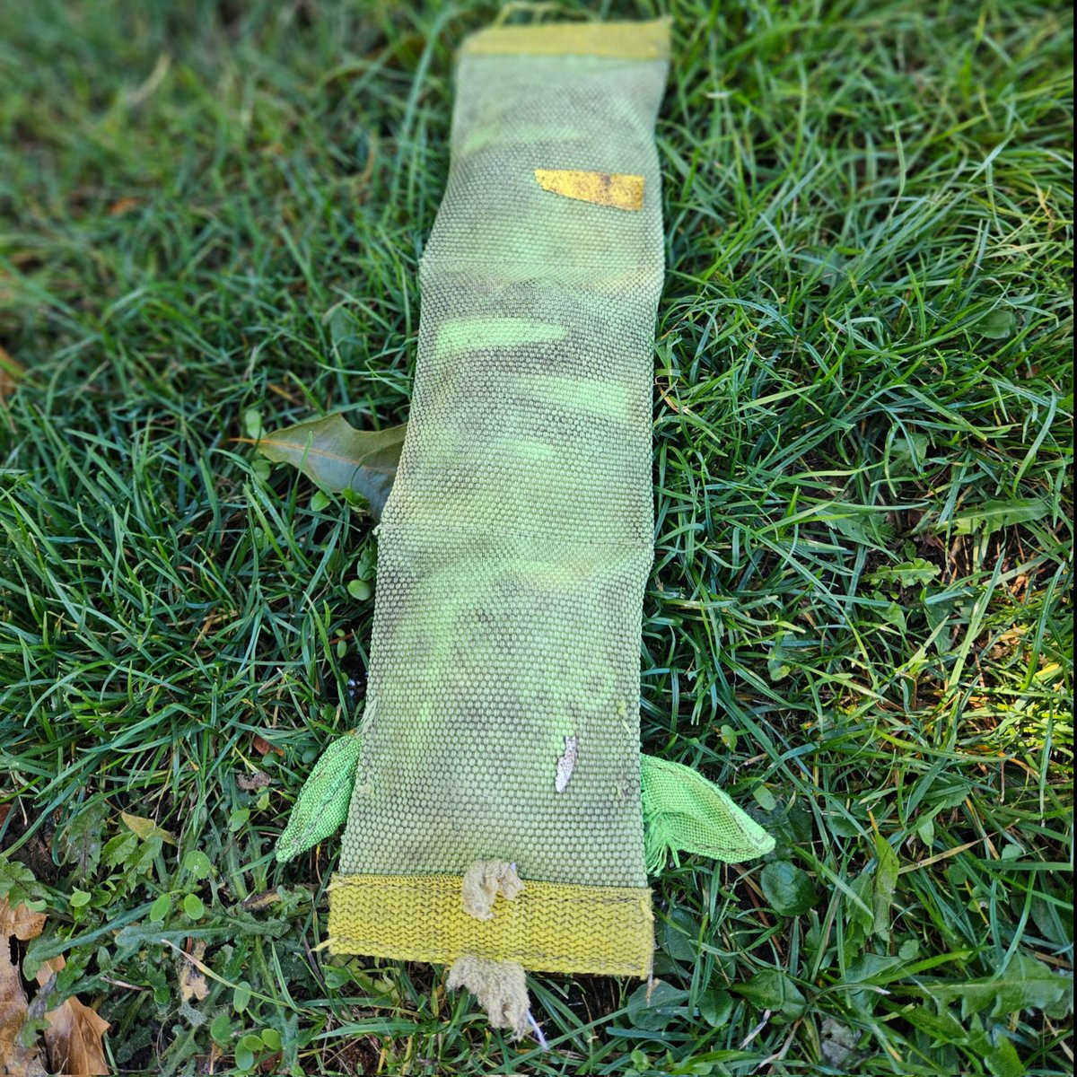 pipkinpippa's tweet image. I was walking my dog and sat down in the grass for a bit and a lady walked up and gave me a dog toy and started talking to me about how it's sad how many people my age are without homes and then asked if that was my situation  😭 very kind but bro??