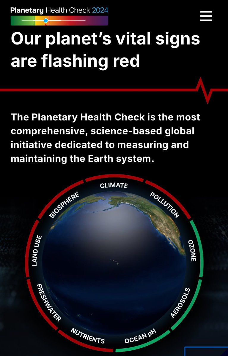 Craig Foster tweet media