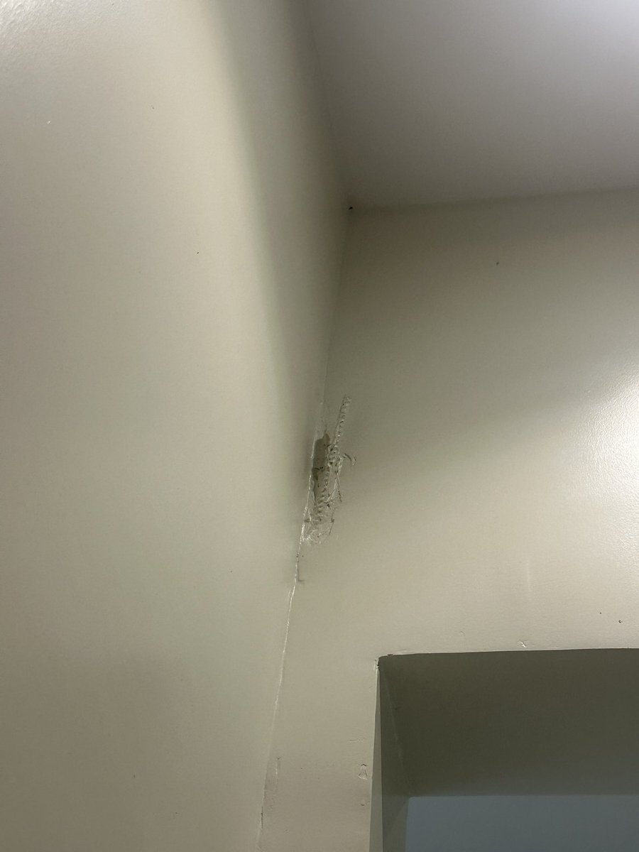 مقاول ابوعبدالرحمن tweet media