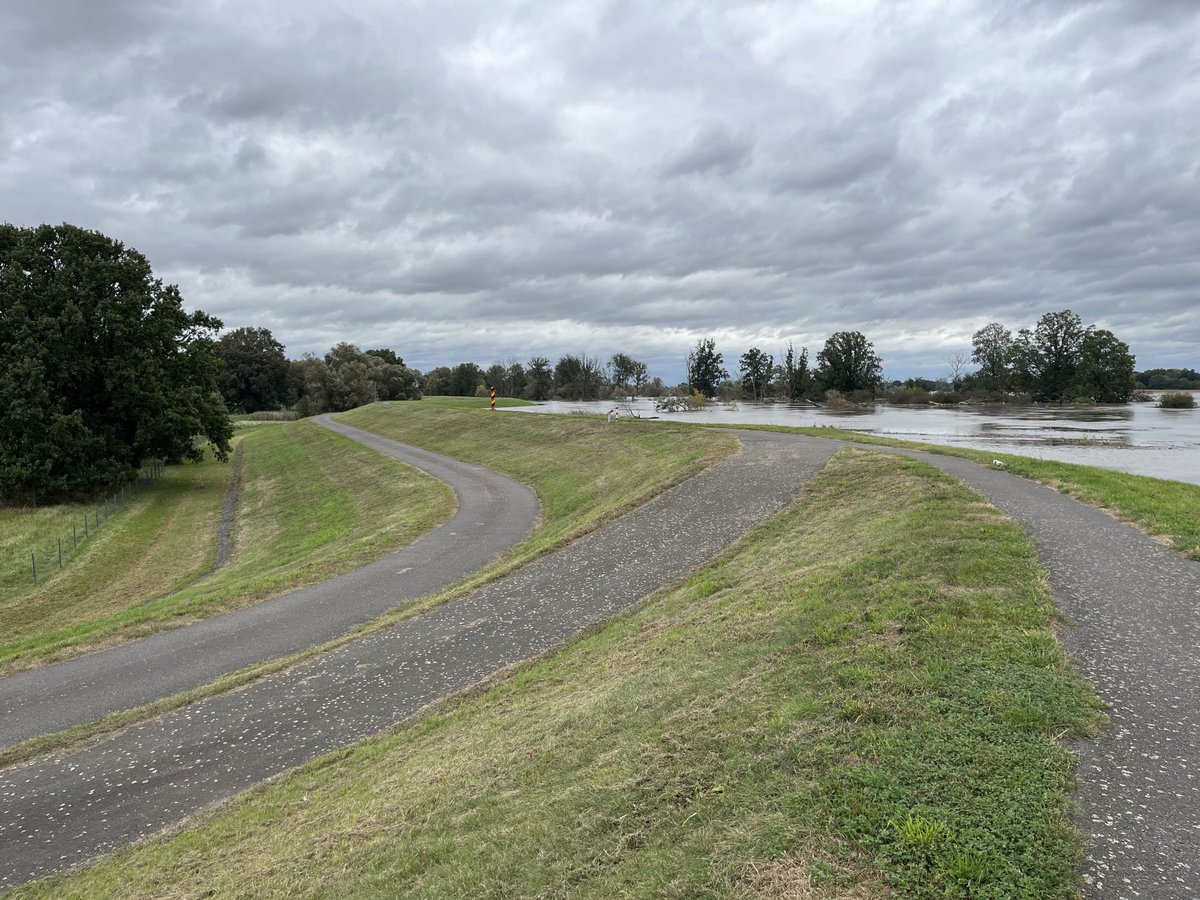 Scheitel im Bereich oberer Oderbruch.