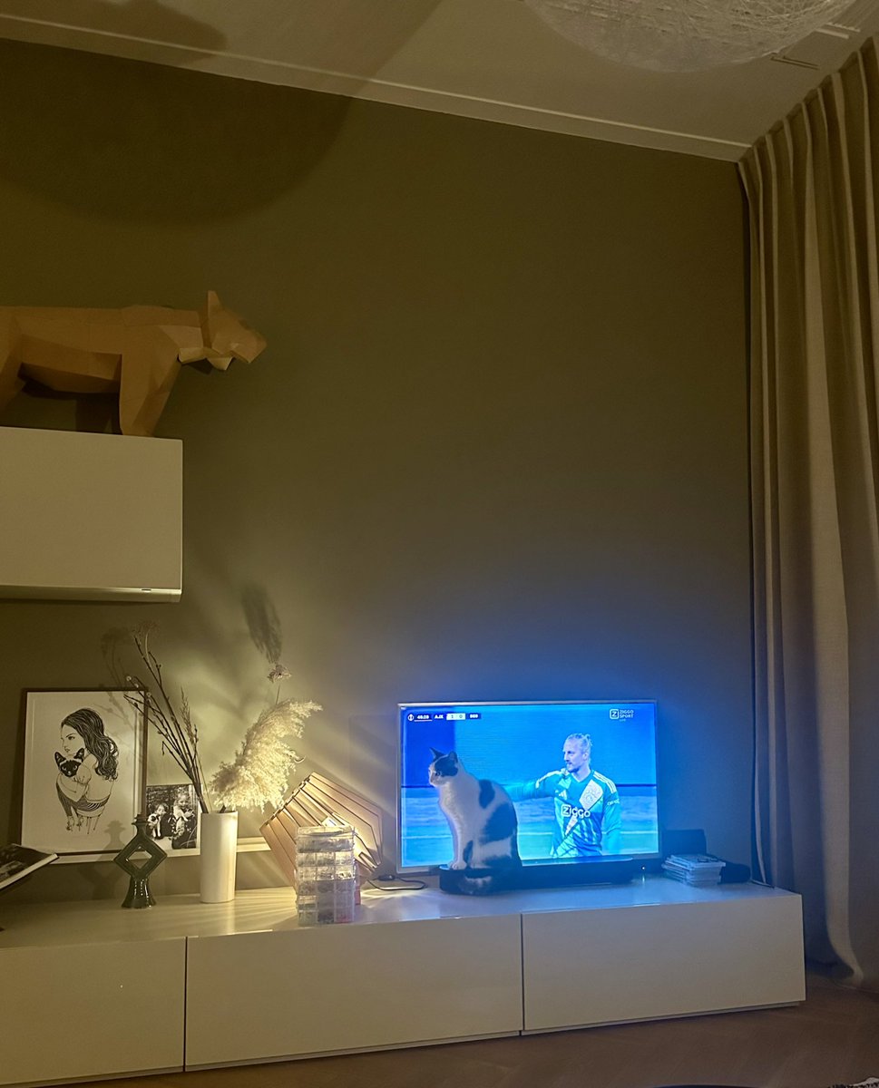 Sjoerd Mossou tweet media