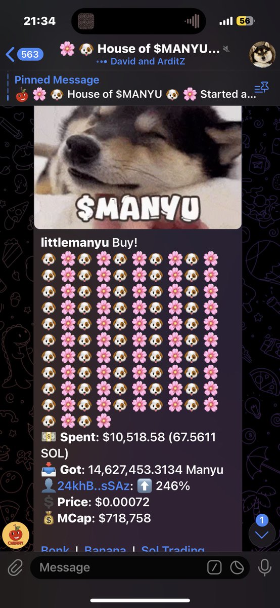 Whales know what’s up $Manyu