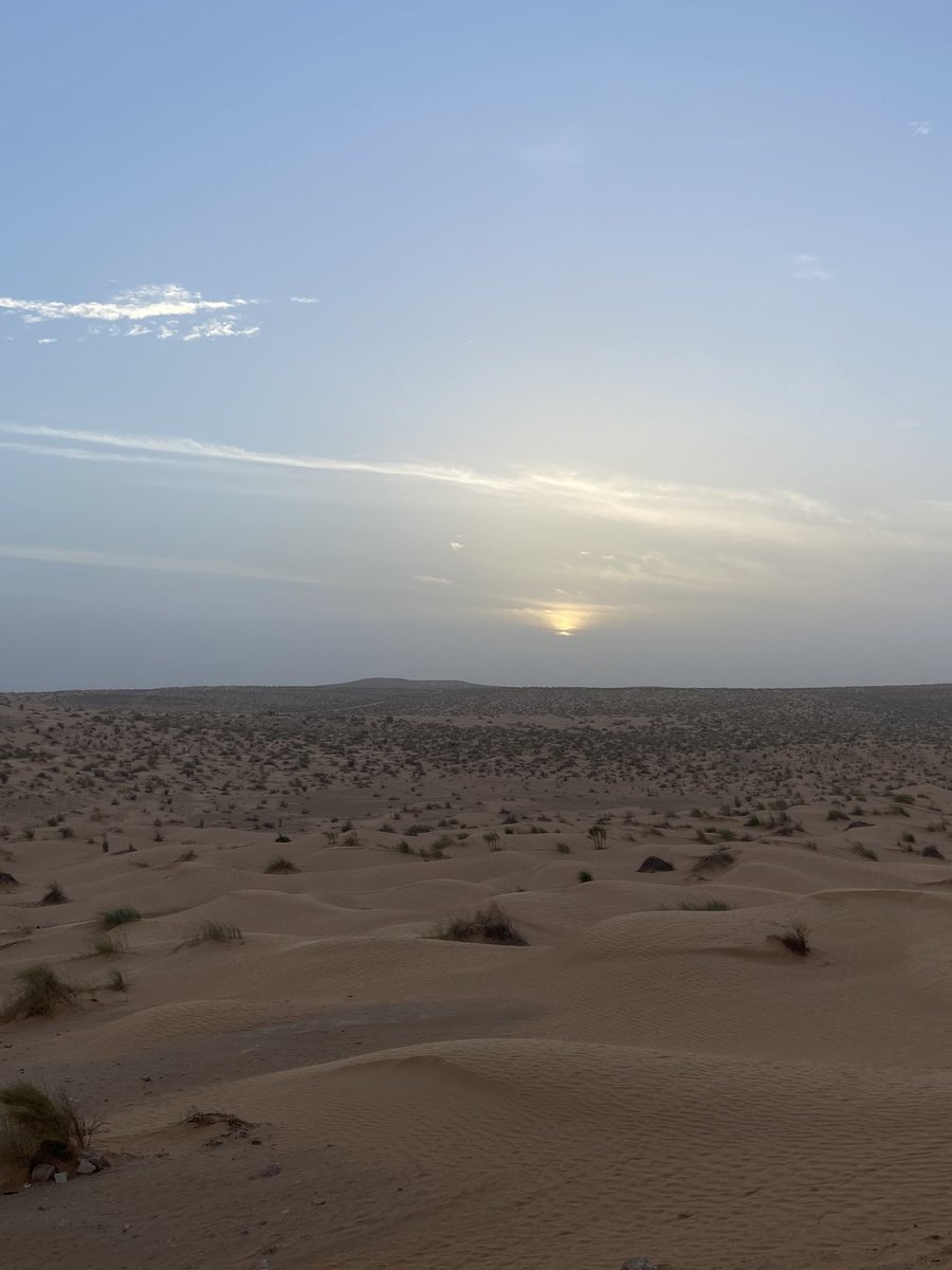isgsv15's tweet photo. Deserto Sahara, Tunísia 🐪 🌵 https://t.co/NZyO7tP7Xd