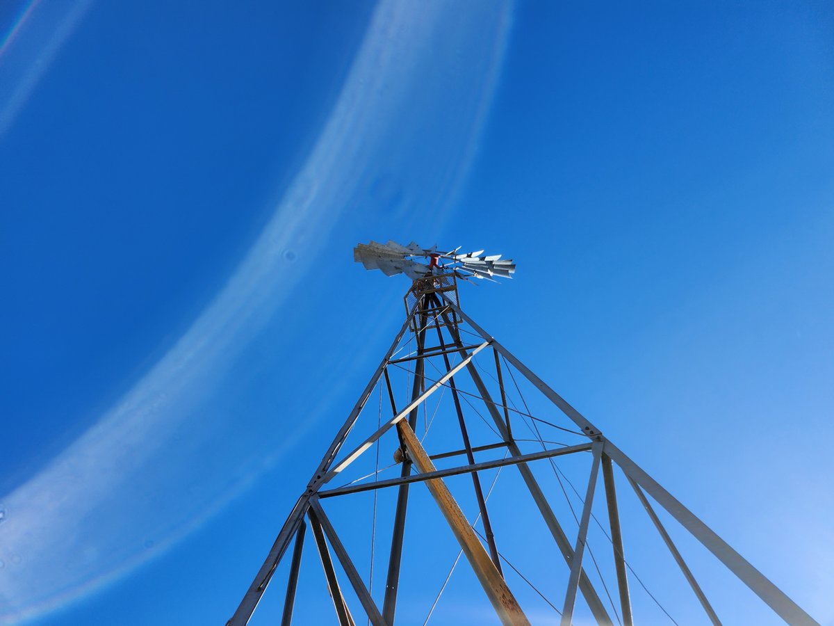 TritailsBeef's tweet photo. Standing tall on the ranch, our windmill is a symbol of the strength and endurance that fuels everything we do. Just like this windmill, our commitment to quality and tradition never falters. 🌾💨

#RanchLife #TriTailsBeef #TexasRanch #WindmillWisdom #StrongTraditions https://t.co/JP8ICRpU6p