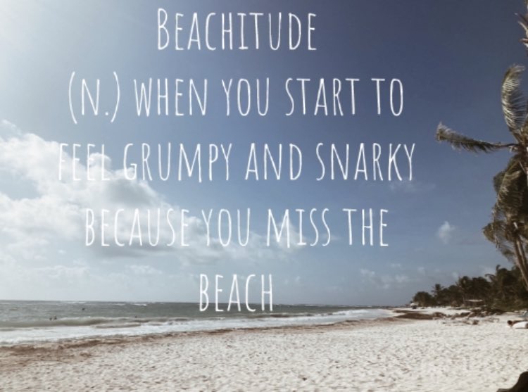 Beachology tweet media