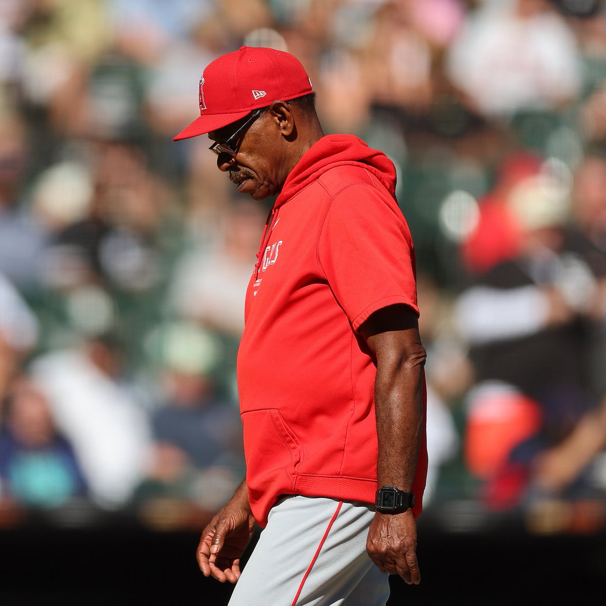 MLBONFOX's tweet image. The Angels have set a new franchise record for most losses in a single-season (96).