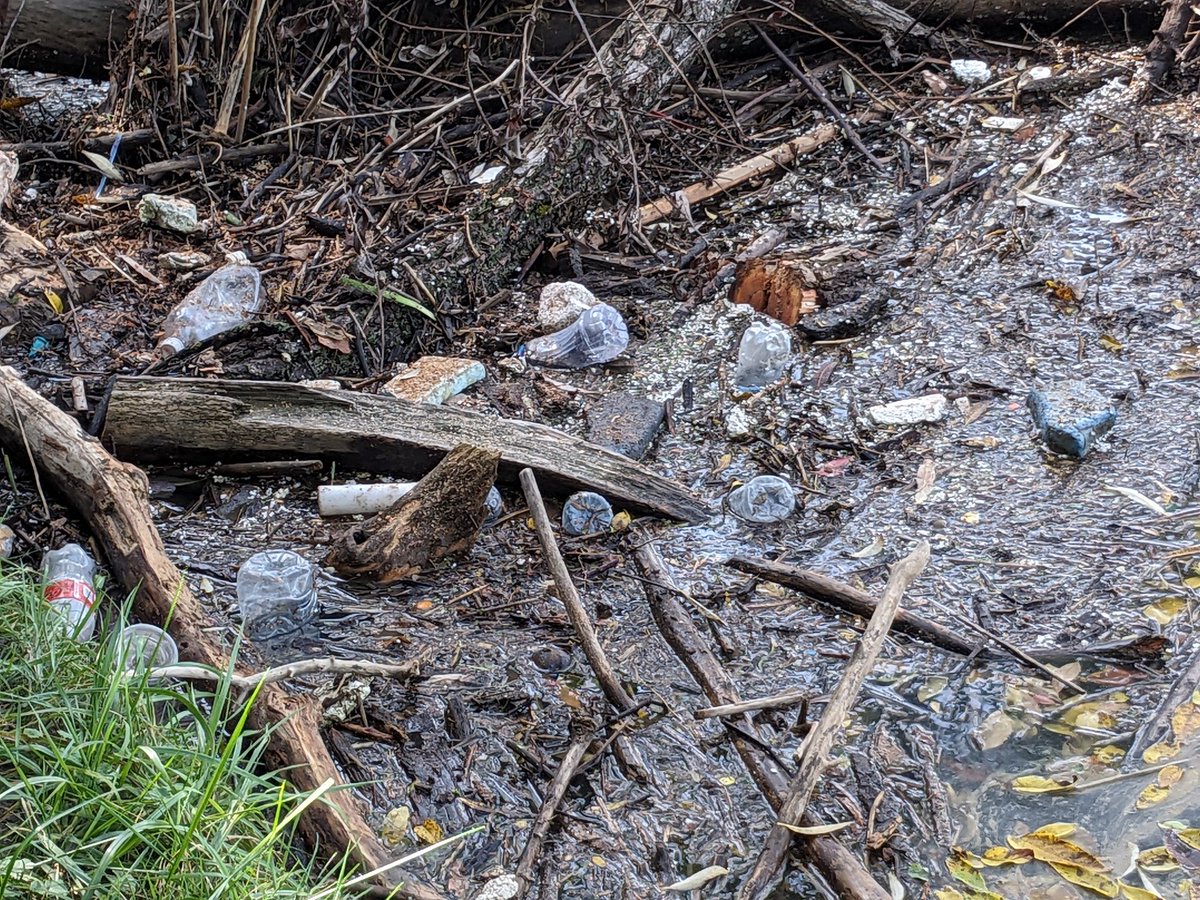 Finding clues about whose habitat needs are met at the Humber. Dismayed to see threats to the healthy habitat, as well. #Broadacres <a href="/TOES_TDSB/">TOES_TDSB</a>
