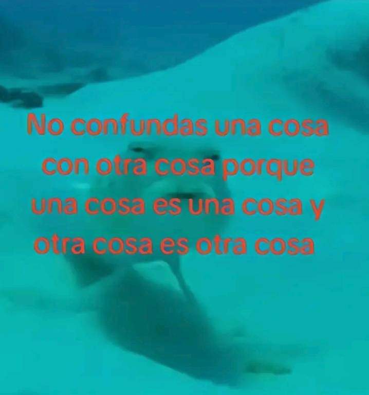 En Júpiter (@en_jupiter_) on Twitter photo 