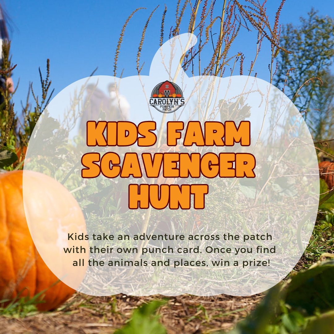 🎃 𝑻𝑯𝑰𝑺 𝑾𝑬𝑬𝑲𝑬𝑵𝑫: 
Kids take an adventure across the patch with their own punch card to discover Farmer Joe’s friends and favorite places on the farm. Once you find all the animals and places, show your card to a staff member and win a prize. 
carolynspumpkinpatch.com