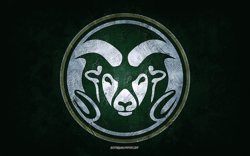 Toilolo_Montana's tweet photo. Humbled and blessed to be offered by Colorado State University 🙏🏽 Thank you Coach @Adam_Pilapil for the opportunity! Lets go Rams! @MDFootball @CSUFootball https://t.co/7UoDENDrPb