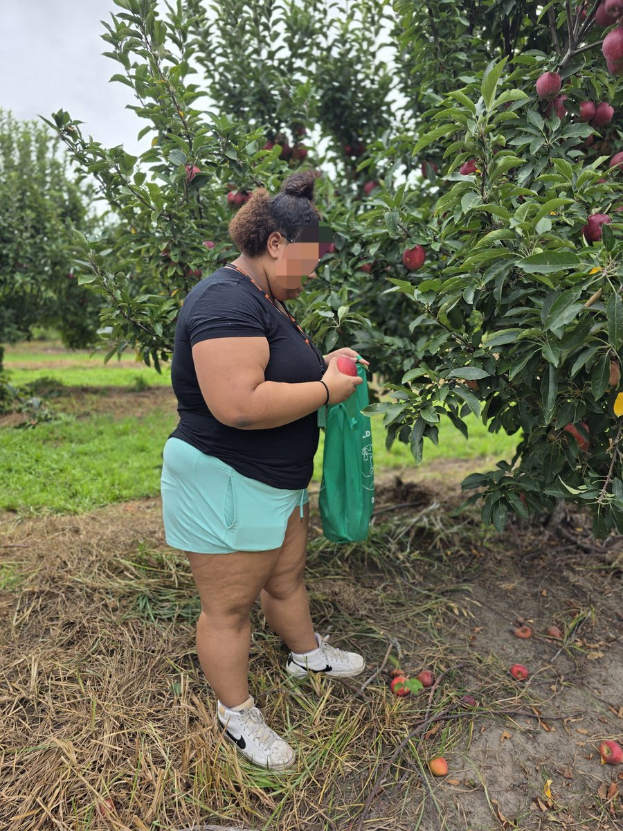 Mr. Simmler tweet media