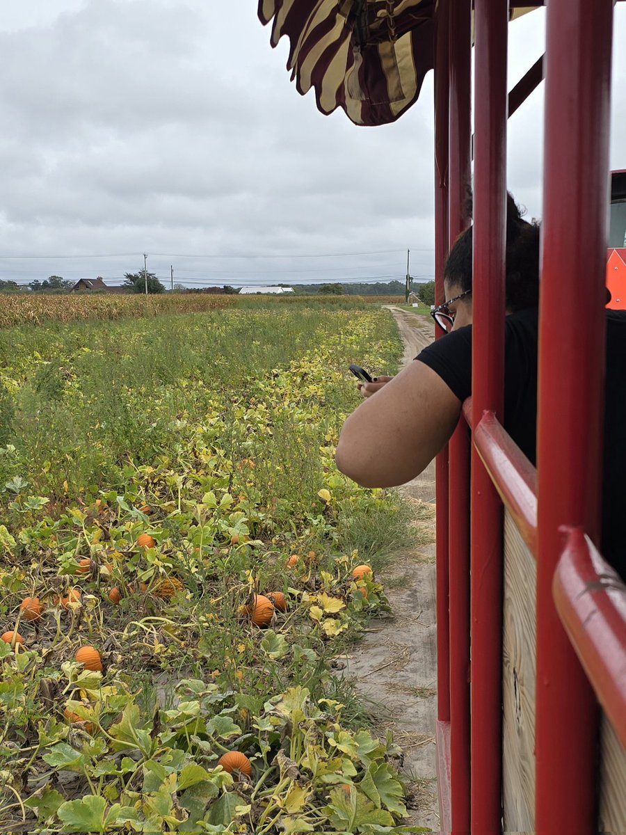 Mr. Simmler tweet media