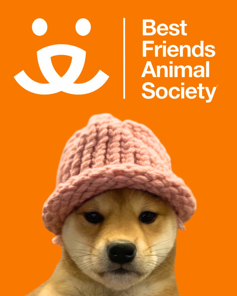 The dogwifhat community is extremely excited to announce we have sponsored Best Friends Animal Society's "Benefit to Save them All" gala in NYC with a $100k contribution! 

This support directly helps Best Friends in their mission to Bring Love Home and make the entire country