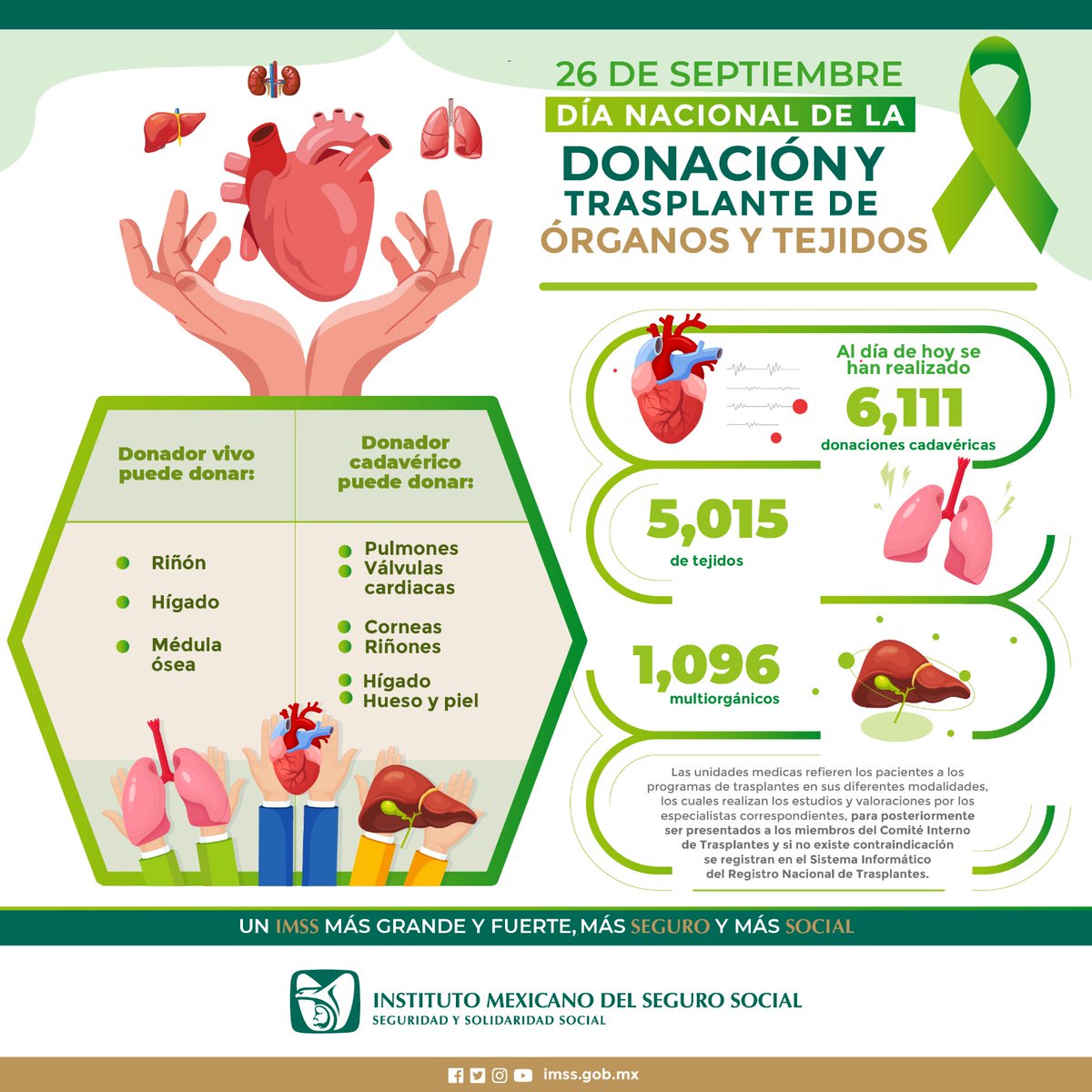 Tu_IMSS's tweet image. 🗓️ 26 de septiembre | Día Nacional de la Donación y Trasplante de #Órganos y #Tejidos. 🫁🫀