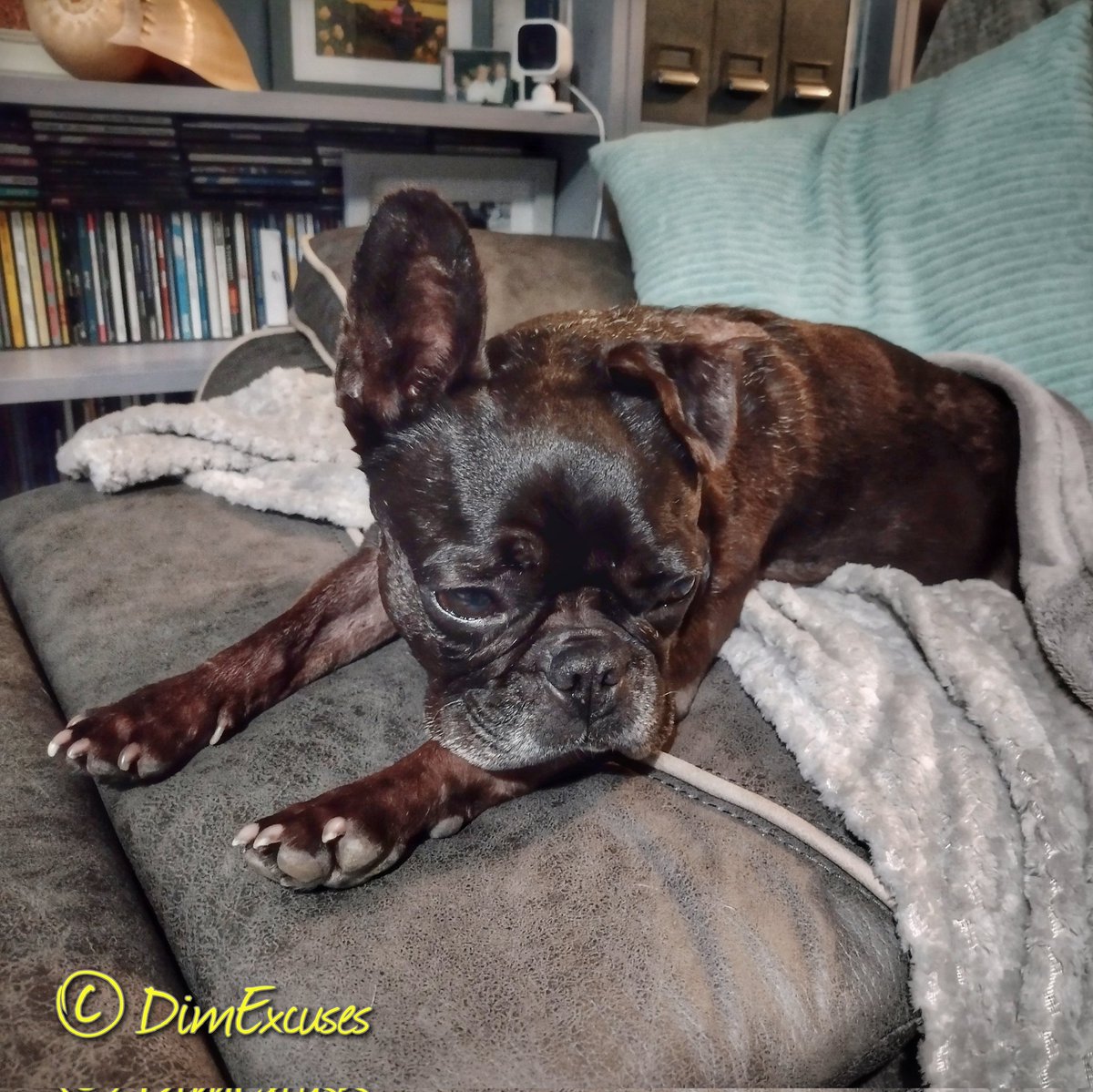 Mark Blackmore tweet media