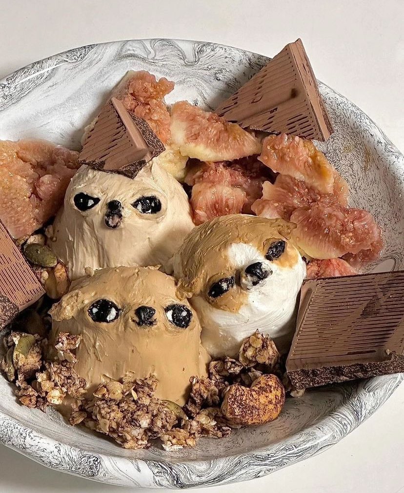 chihuahua ice cream