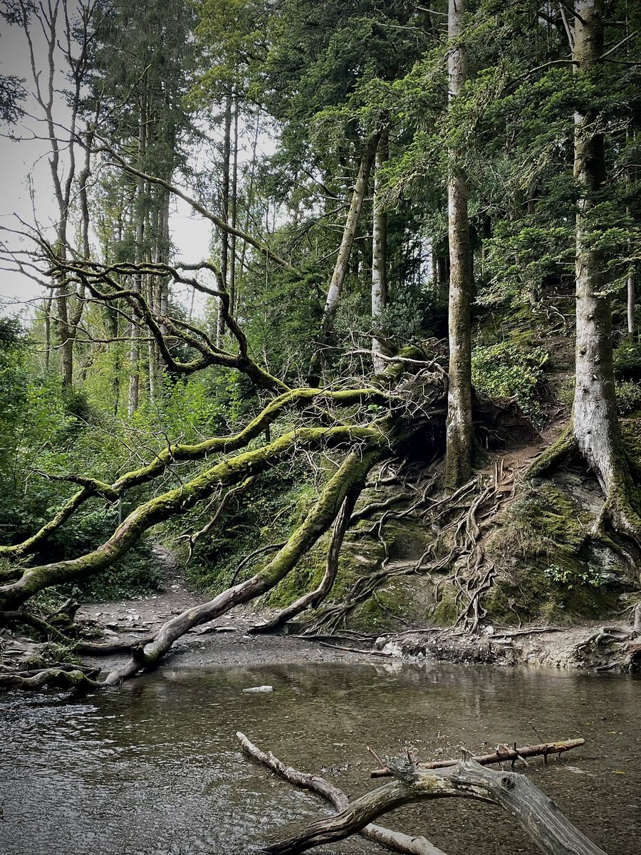 We took a trip to Pembrokeshire to unwind and it was perfect. Highlight was definitely the Ffyonne waterfall, it’s rare to find such a beautiful and magical location.