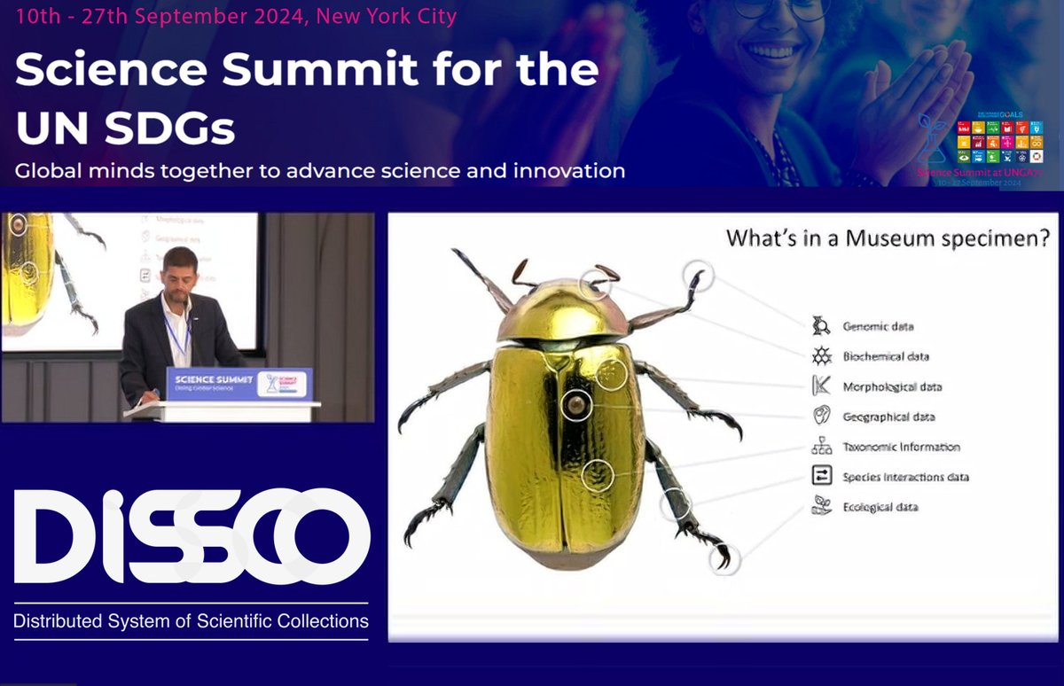 Developments such as <a href="/DiSSCoEU/">DiSSCo</a>'s #digitalspecimen are crucial contributions of European research infrastructures #RIs to global biodiversity research. <a href="/DimitrisKoureas/">Dimitris Koureas</a> represented DiSSCo RI at the #UNSummitOfTheFuture in NY. #biodiversity #SustainableDevelopment <a href="/REA_research/">European Research Executive Agency</a>