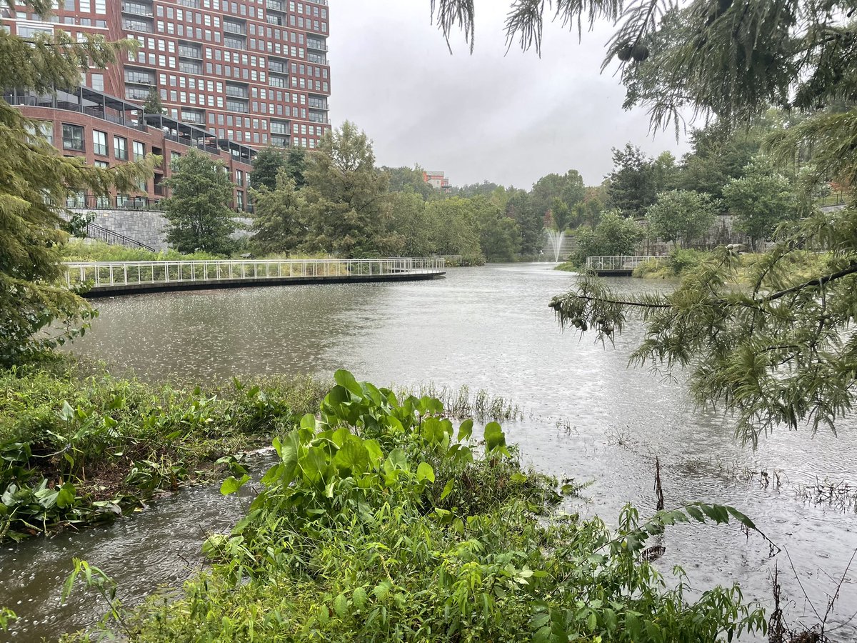The storm retention lake at Old Fourth Ward Park in Atlanta at 5pm Thursday ahead of Helene.

The stone lines indicate water levels of a 500-year and 100-year flood.

Fingers crossed it can handle all the rain still coming our way. <a href="/wabenews/">WABE News</a>