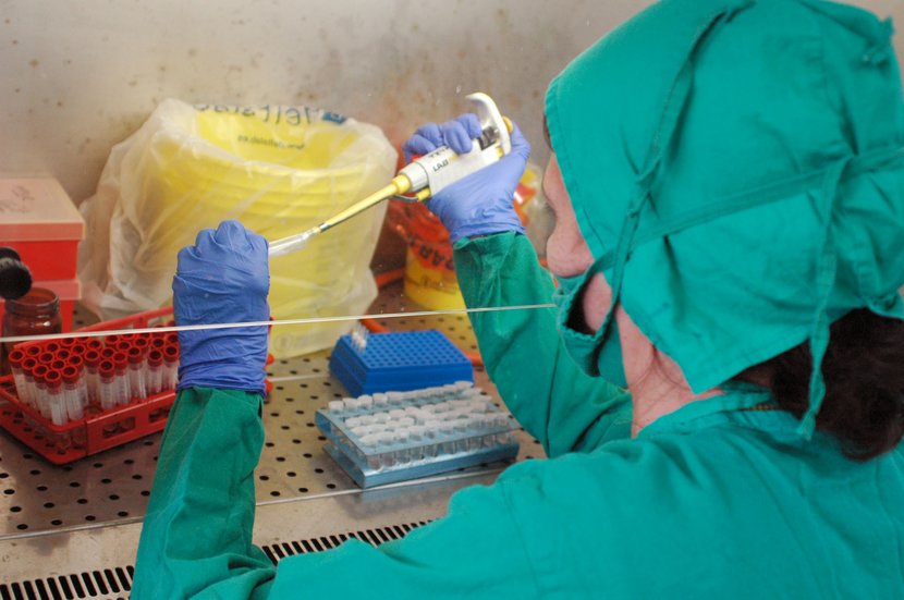 🩺Sobre la gestión de la ciencia y la innovación para dar respuesta al oropouche en Cuba🇨🇺, que ya acumula cerca de 12 000 casos sospechosos desde el primer reporte de su presencia aquí, abordó <a href="/ileanarmorales2/">Ileana R. Morales Suárez</a> en entrevista a <a href="/PresidenciaCuba/">Presidencia Cuba 🇨🇺</a> .

✍️ urlc.net/Nt76