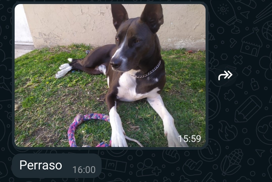 candecoded's tweet photo. yo preocupada por que operaban a mi viejo
mi vieja: https://t.co/SpOWTGB0Ey