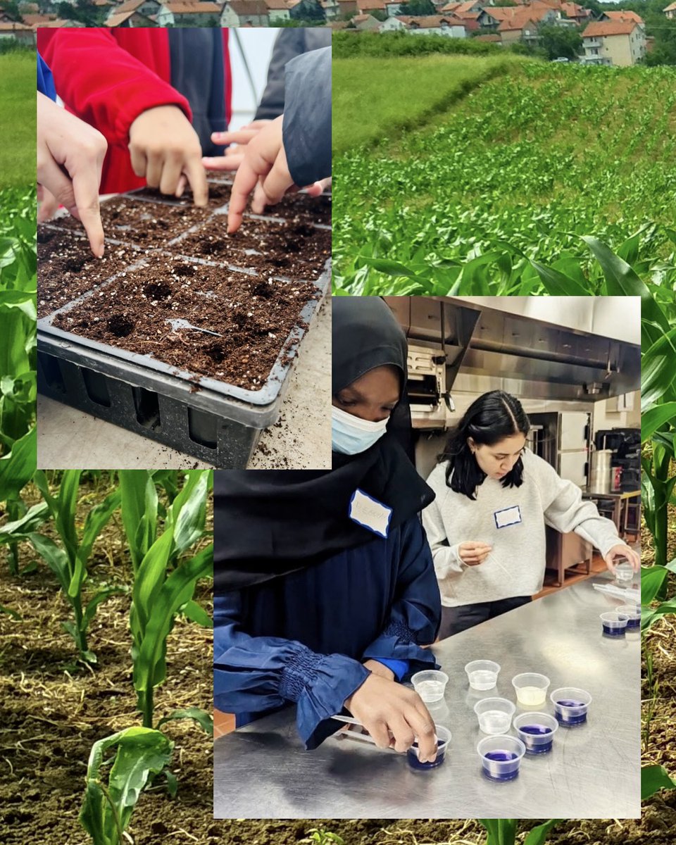 MercerCountyOEA's tweet photo. Here’s a look at some amazing highlights through the year! We’re excited about the programs and events to come this season and committed to bringing together passionate students eager to make a difference for our planet, and empower each other to create sustainable change🌱🌎🍂 https://t.co/Go9Rxbo0SW
