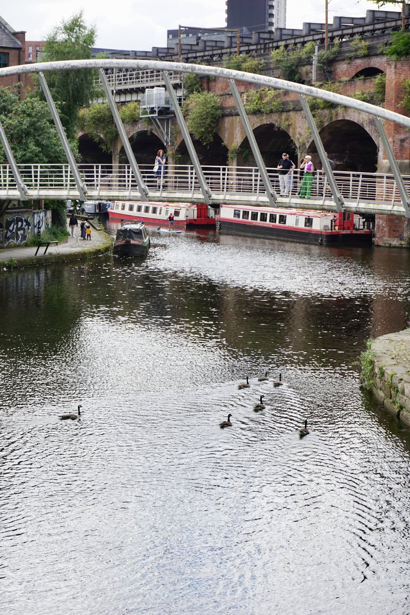 Castlefield, what an inspirational place to work 🥰

Contact our team to see what spaces we have available for your business 
📧 info@castlefieldestates.com
📞 0161 834 8088

#Castlefield #Manchester #officegoals #Castlefieldestates #manchesterlife #thisismcr #ilovemanchester ⁣