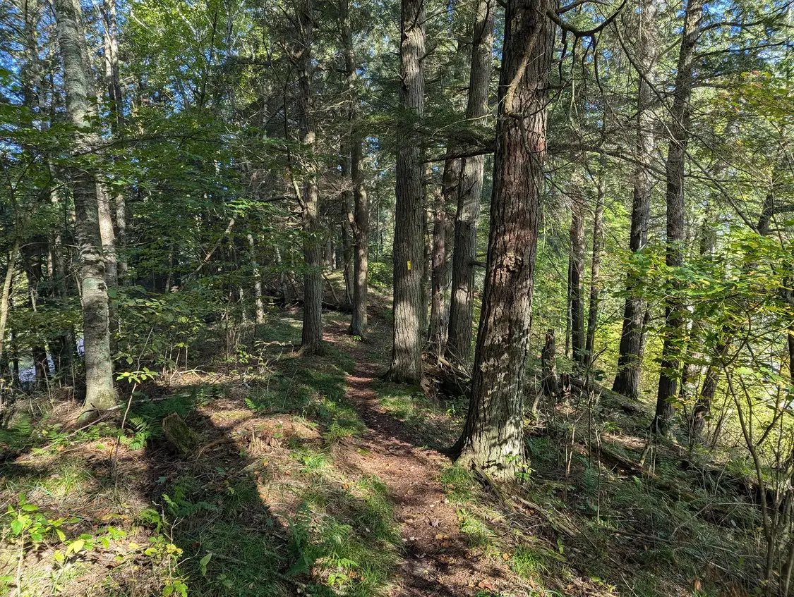 These #eskers are special and worthy of recognition. #MonumentsForAll #Wisconsin