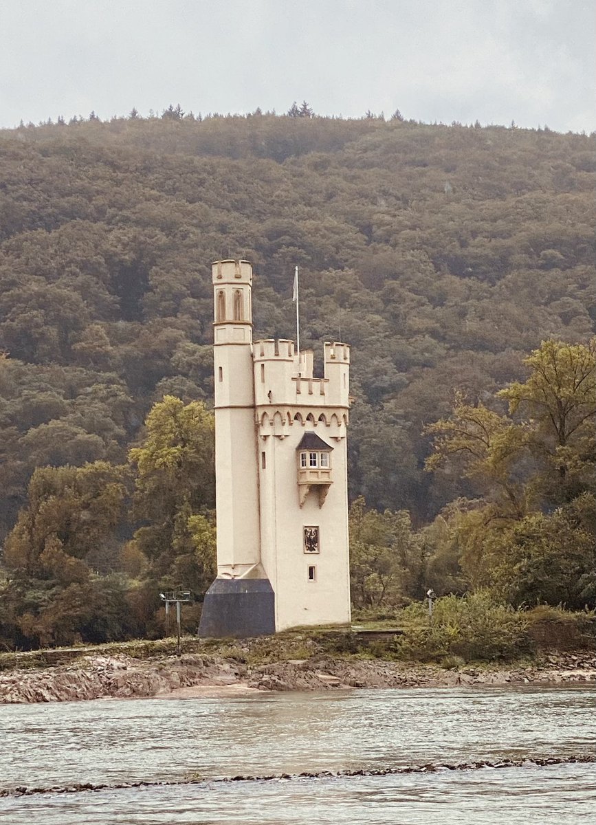 meedya's tweet photo. Stunning #RhineGorge views from our #Riviera cruise ship: precipitous vineyards, beautiful waterside towns, towering castles and forests as we glide past #Loreleystadt and #Bacharach towards #Rüdesheim https://t.co/oE6rlyqFf8