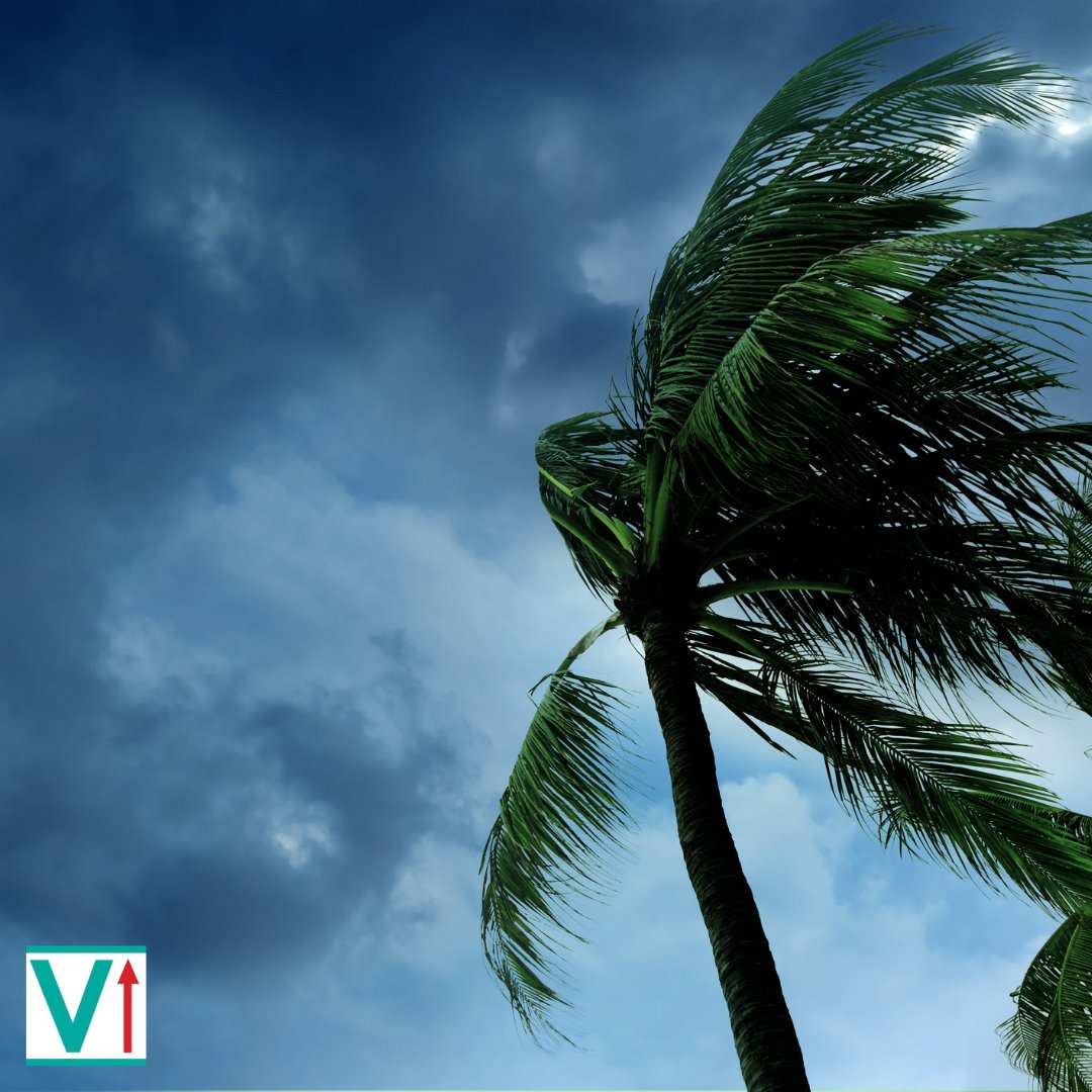 VentureRich's tweet photo. 🌀 Ensure your online presence remains strong during the storm. Our team at Venture Rich offers robust website management services to keep your site up and running, no matter the weather. #WebsiteResilience #HurricanePreparedness #VentureSafe https://t.co/zdbisHkQEK
