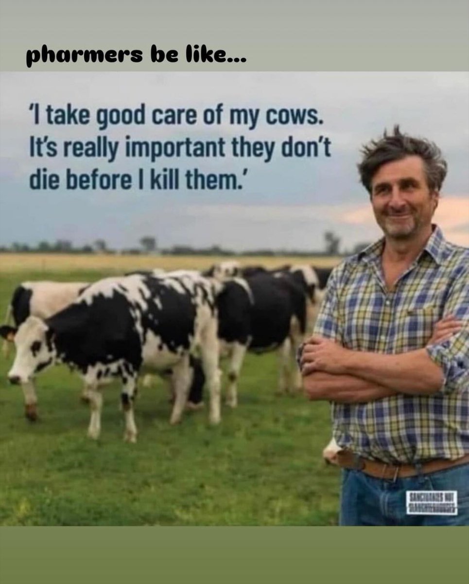 Tamara Cassidy, Vegan, Animal Liberation Activist (@animalandlandxo) on Twitter photo 