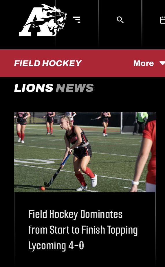 SteveMcT1's tweet image. Way to go Albright Field Hockey!!!