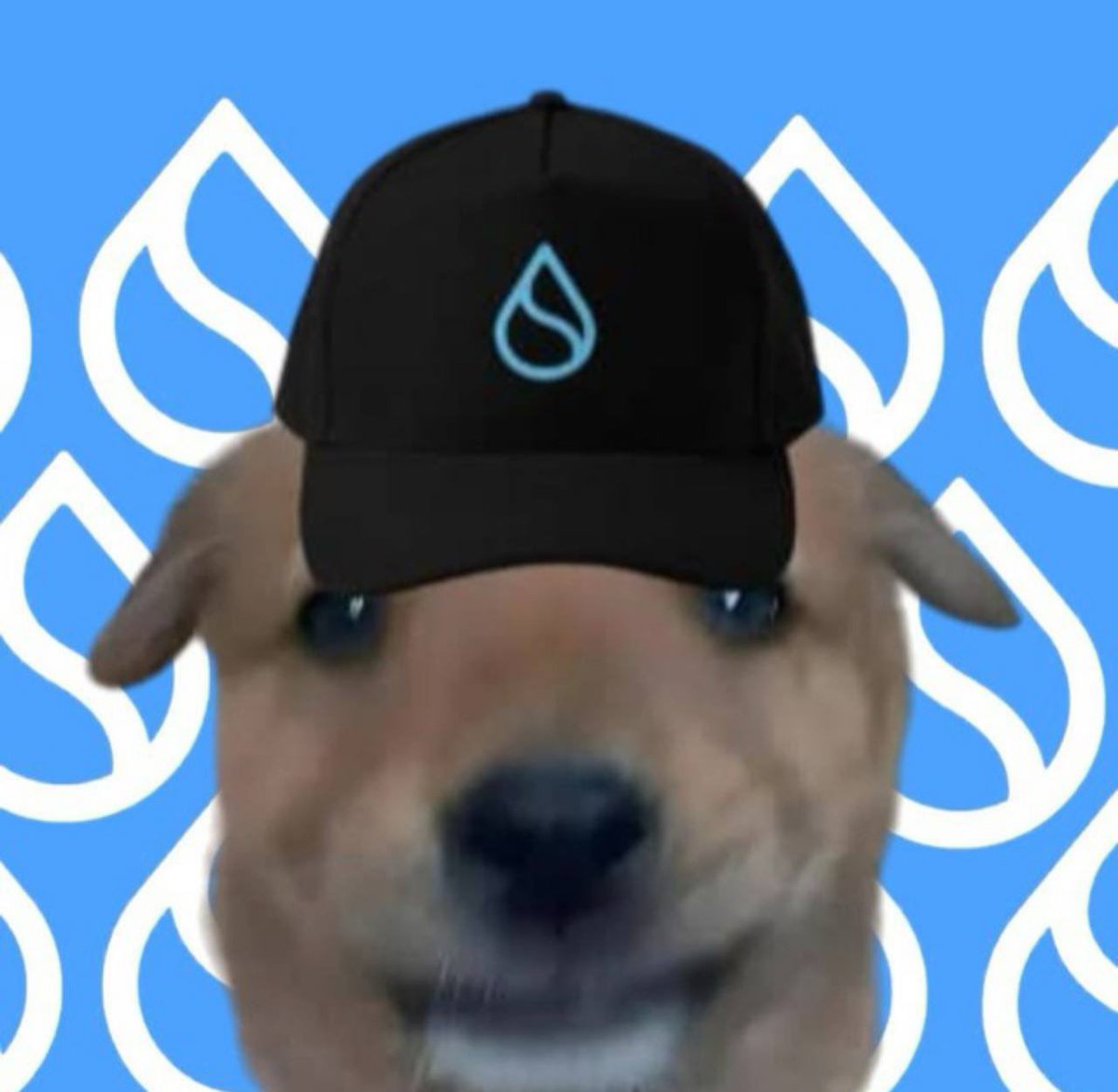 CryptoOracleOfficer tweet media