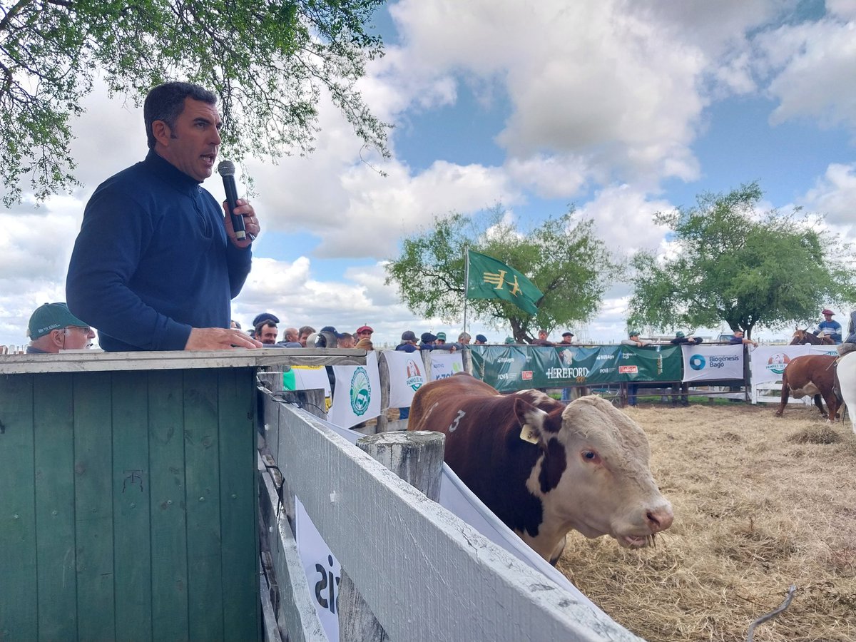 En colaboración con la Asociación Argentina de Criadores de Hereford, realizamos un remate de toros y vientres en nuestra Estación Experimental <a href="/INTAconcepcion/">INTAconcepcion</a>, Entre Ríos. Participaron 23 cabañas de la región mesopotámica.