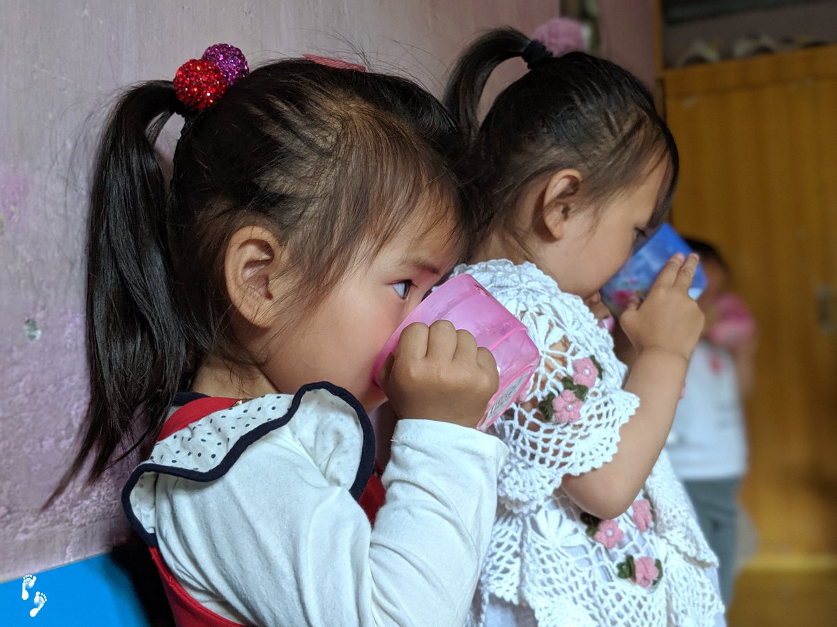 A daily cup of soy milk plays a crucial role in meeting the protein needs of children in North Korea. With lactose intolerance being common in the region, soy milk serves as an excellent alternative to dairy.