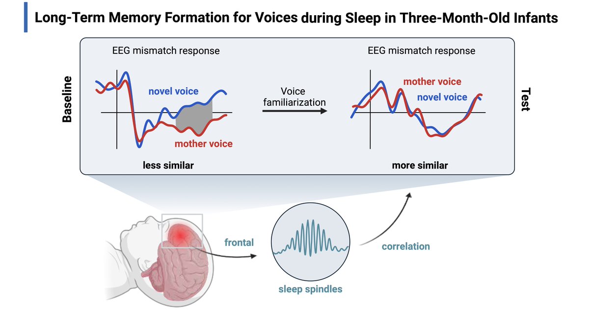 Lisa Bastian tweet media