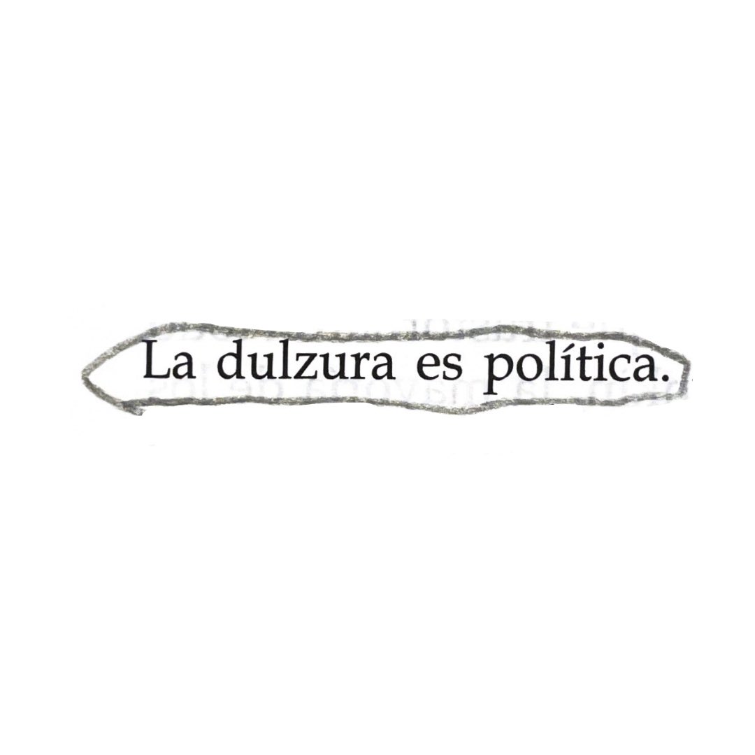 camila mermet tweet media