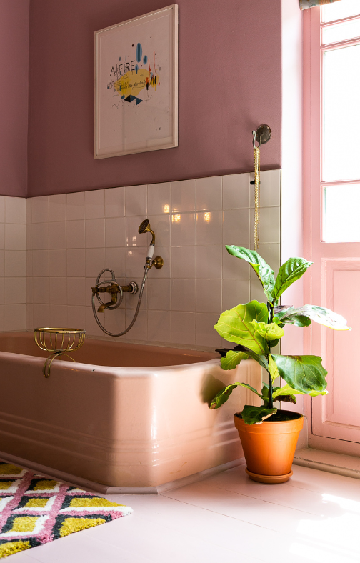 AESIS_summit's tweet image. 📢We are delighted to announce our partnership with Hotel Lola, located in the Green Point area of Cape Town! As an #AESIS delegate, you can use &quot;AFRICANINVESTORS&quot; as your promo code when booking your stay at this hotel.

Book at booking.roomraccoon.co.za/hotel-lola/en/

🔗hotellola.africa