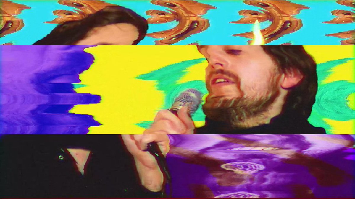 will shand tweet media